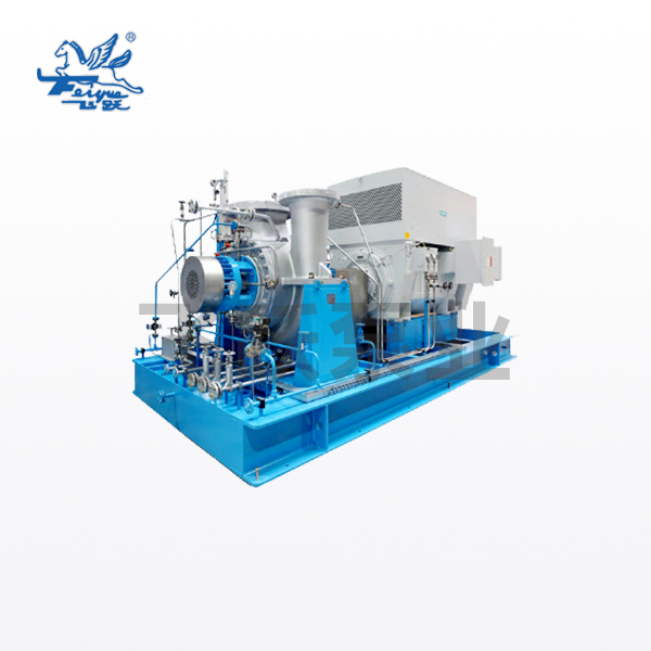 Thermal oil circulation pump (BB2)