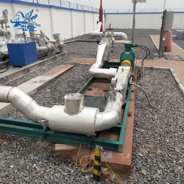 Single screw pry installation