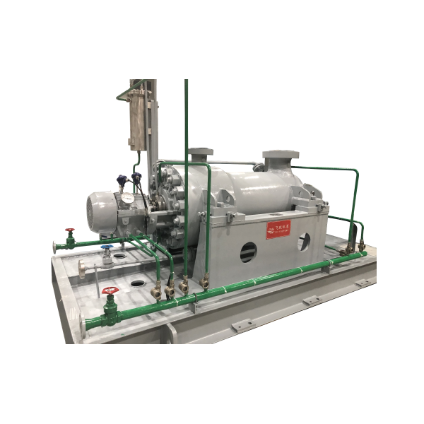 Petrochemical Pump (BB Series)