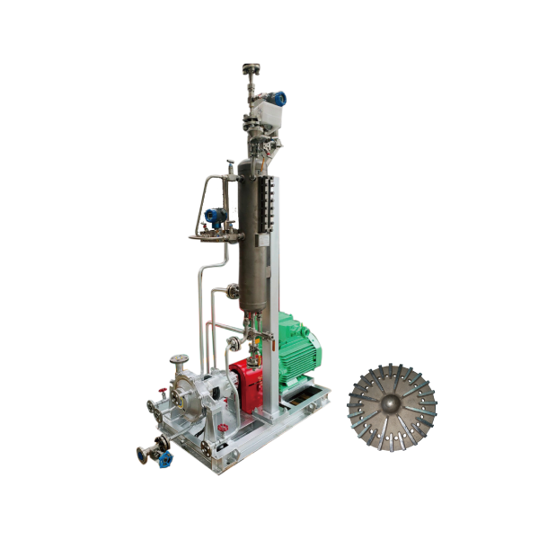 Low flow high head process pump (OH2 structure)