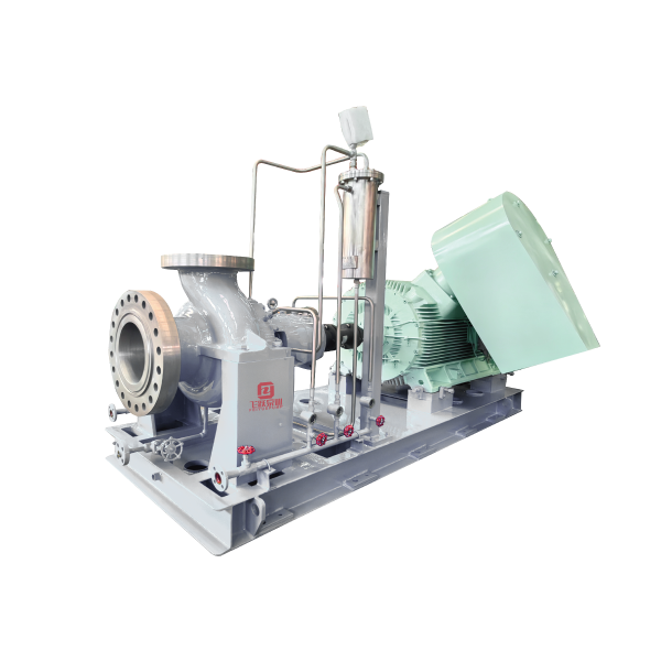 Petrochemical pumps (OH, VS series)