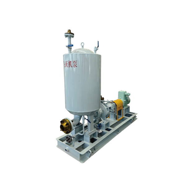 Synchronous self-priming petrochemical process pump