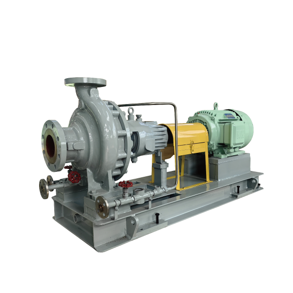 Petrochemical process pump